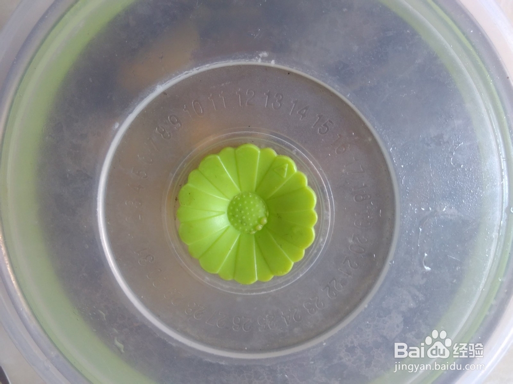 自做的九制陈皮