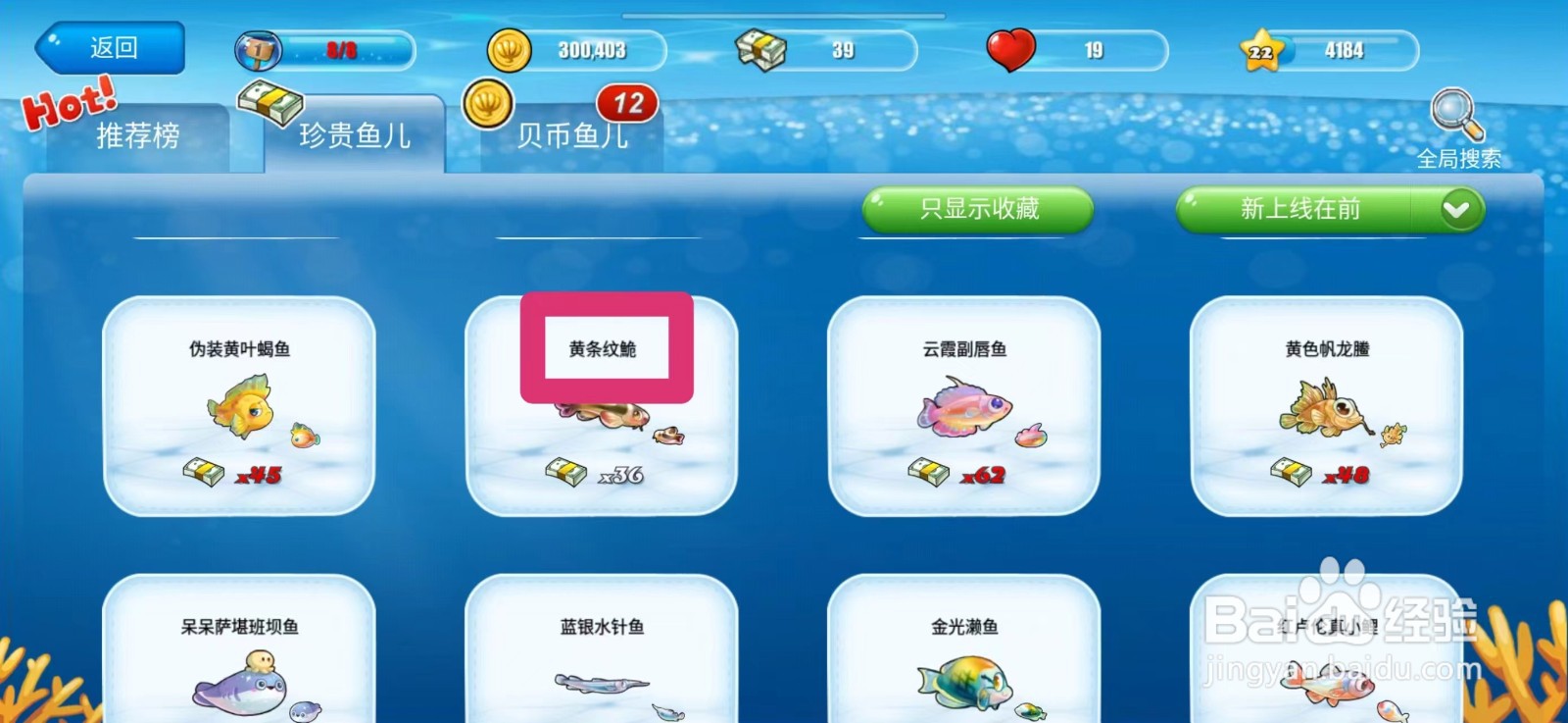 开心水族箱怎么获得黄条纹鮠