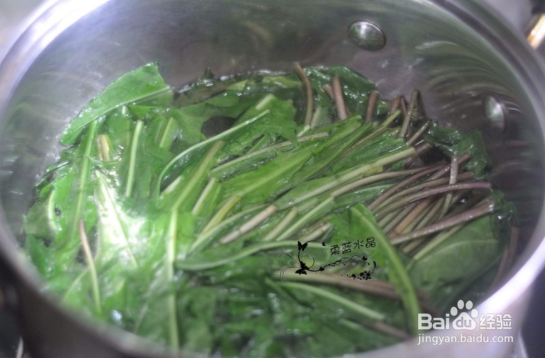 蒲公英的吃法和做法