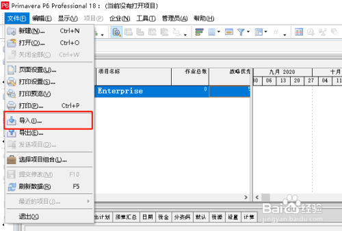 Primavera P6导入project计划