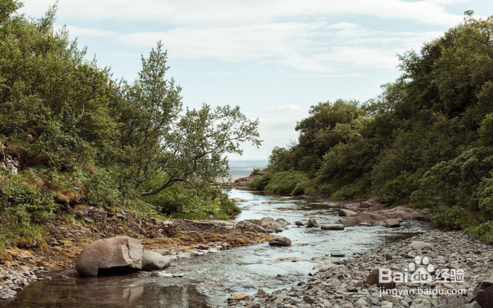 在农村如何增加收益