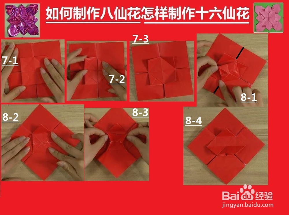 如何制作八仙花怎样制作十六鲜花