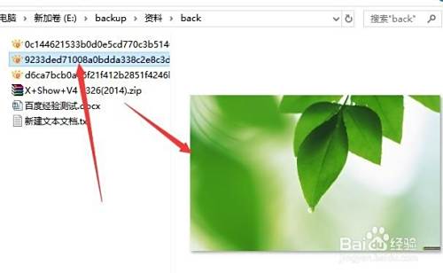 win10怎么样显示预览窗格 如何打开系统预览窗口