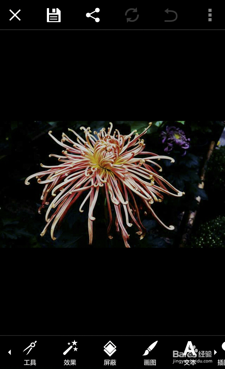 使用手机如何对图片进行处理