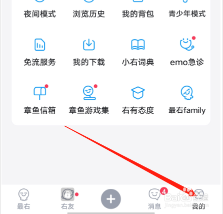 安卓版最右如何查看表情包