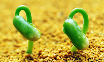 什么样的男人更有魅力