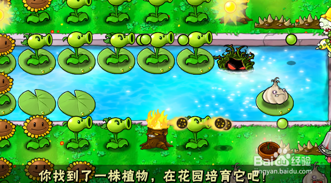 植物大战僵尸如何过3-7