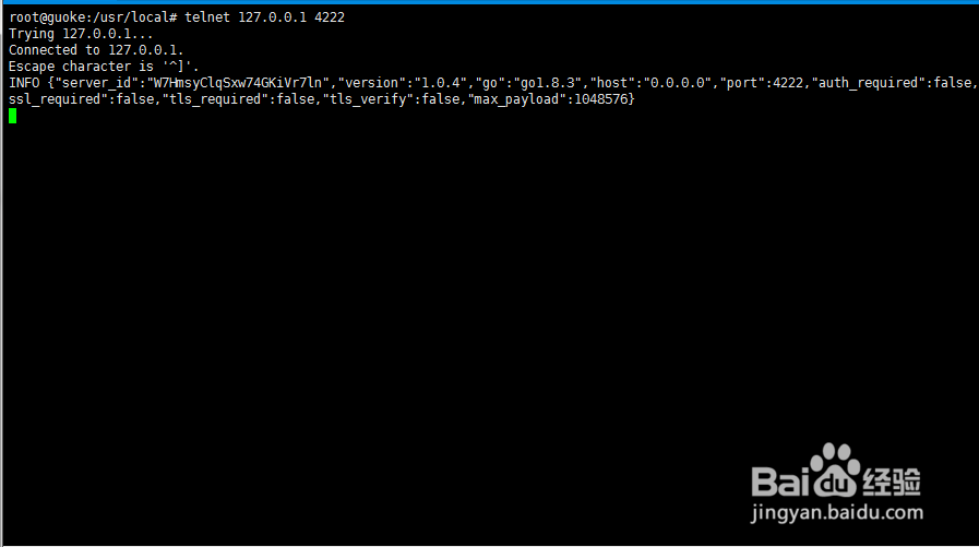 Ubuntu 16.04 docker中安装nats