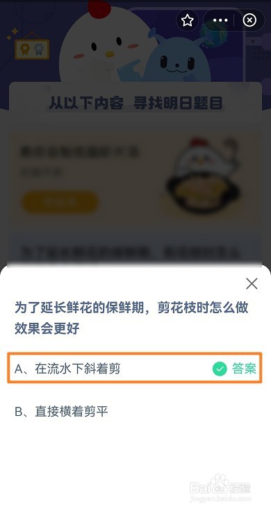 蚂蚁庄园延长鲜花保鲜期，怎么剪花枝时效果更好