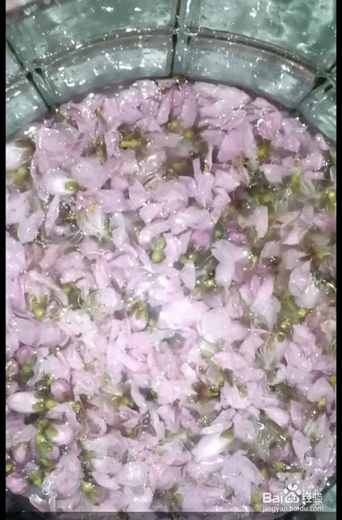 干桃花酒怎么做桃花酒 百度经验