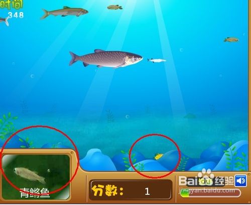 吃小鱼-游戏攻略