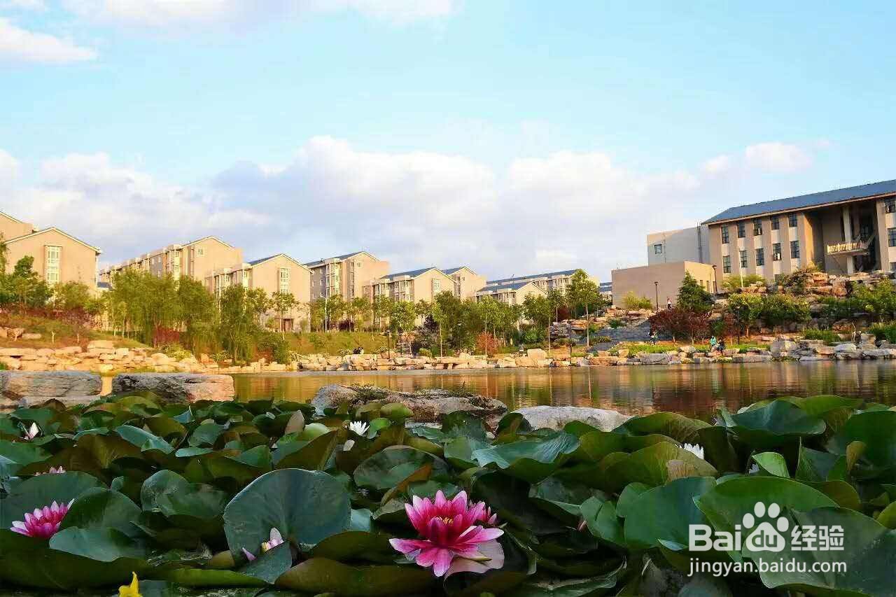 #萌新听我说#山东财经大学圣井校区学习攻略