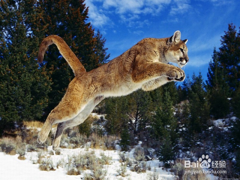 怎么提高睡眠质量（简单有效）？