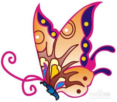 花蝴蝶的简笔画