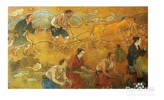 中国人为什么爱喝热水？外国人不喝热水？