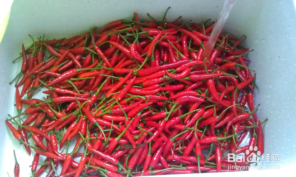 香辣十足 万能的剁辣椒