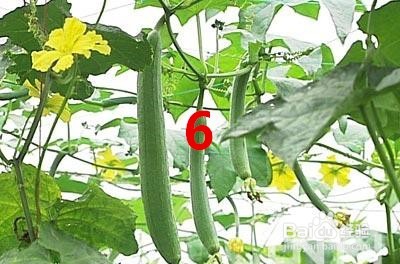 鼻塞鼻炎如何防治