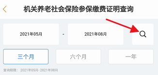 辽宁省机关养老社会保险参保缴费证明怎样查询