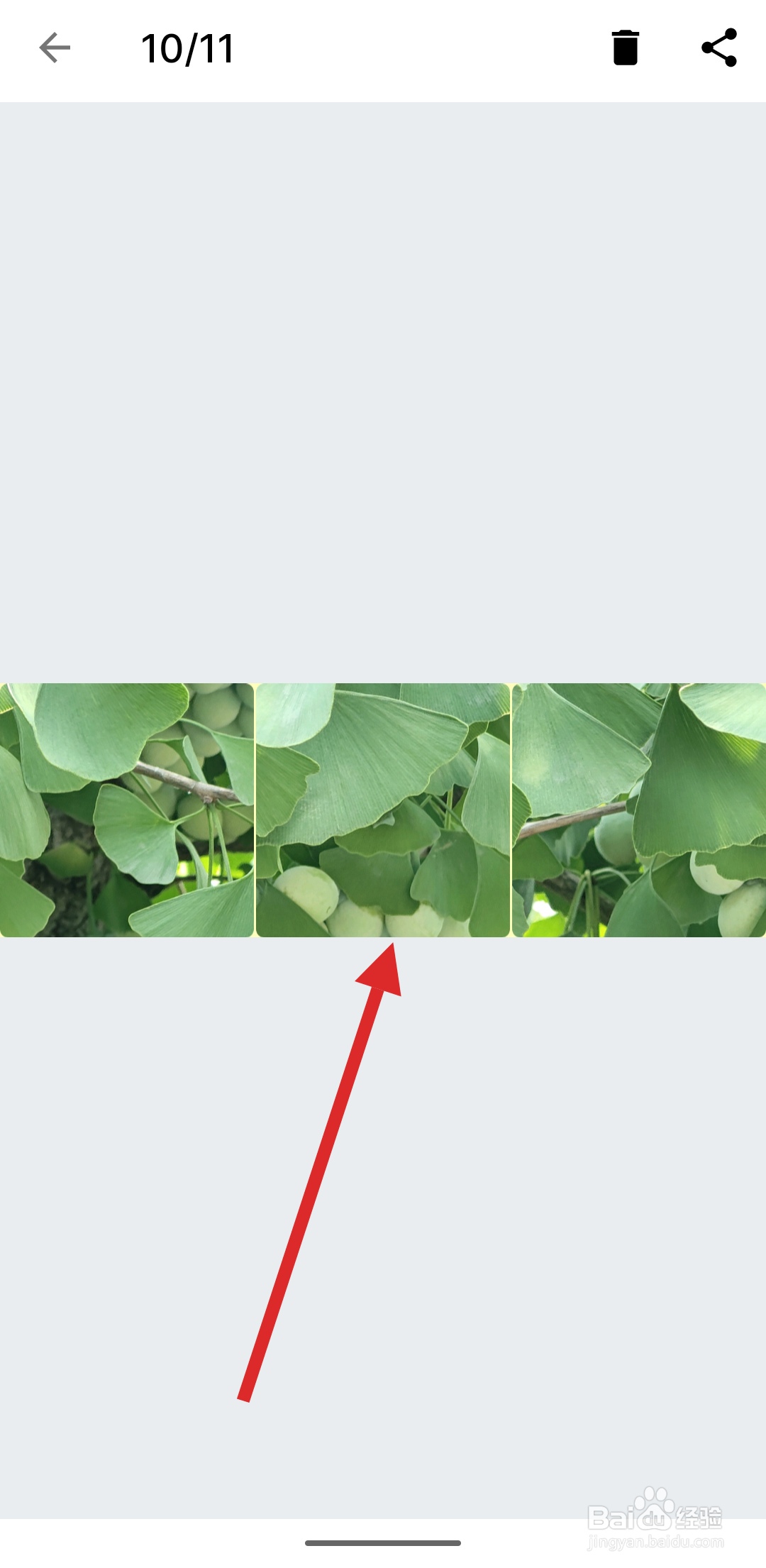 如何使用图叨叨APP拼接多张图片?