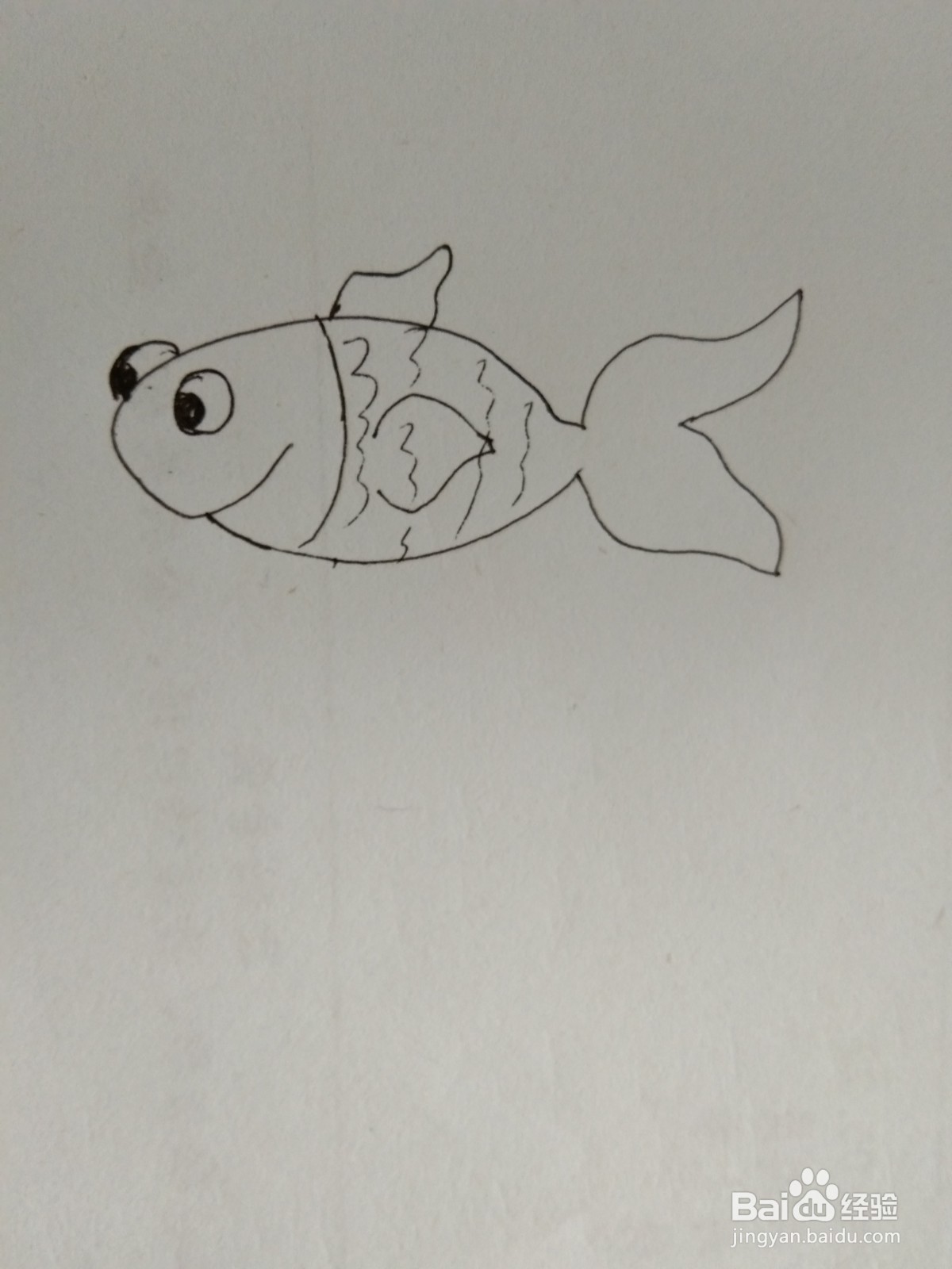 如何画简笔画小金鱼