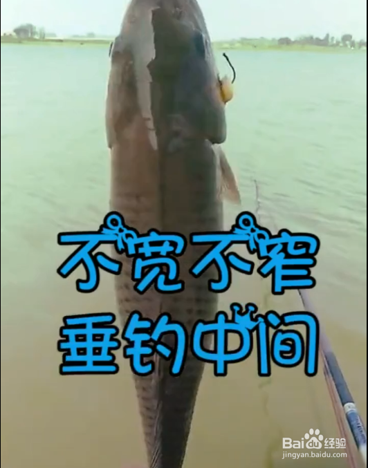如何高效率的钓到鱼