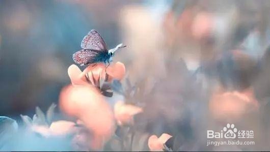 5个摄影小技巧，拍出碾压朋友圈的风光照！