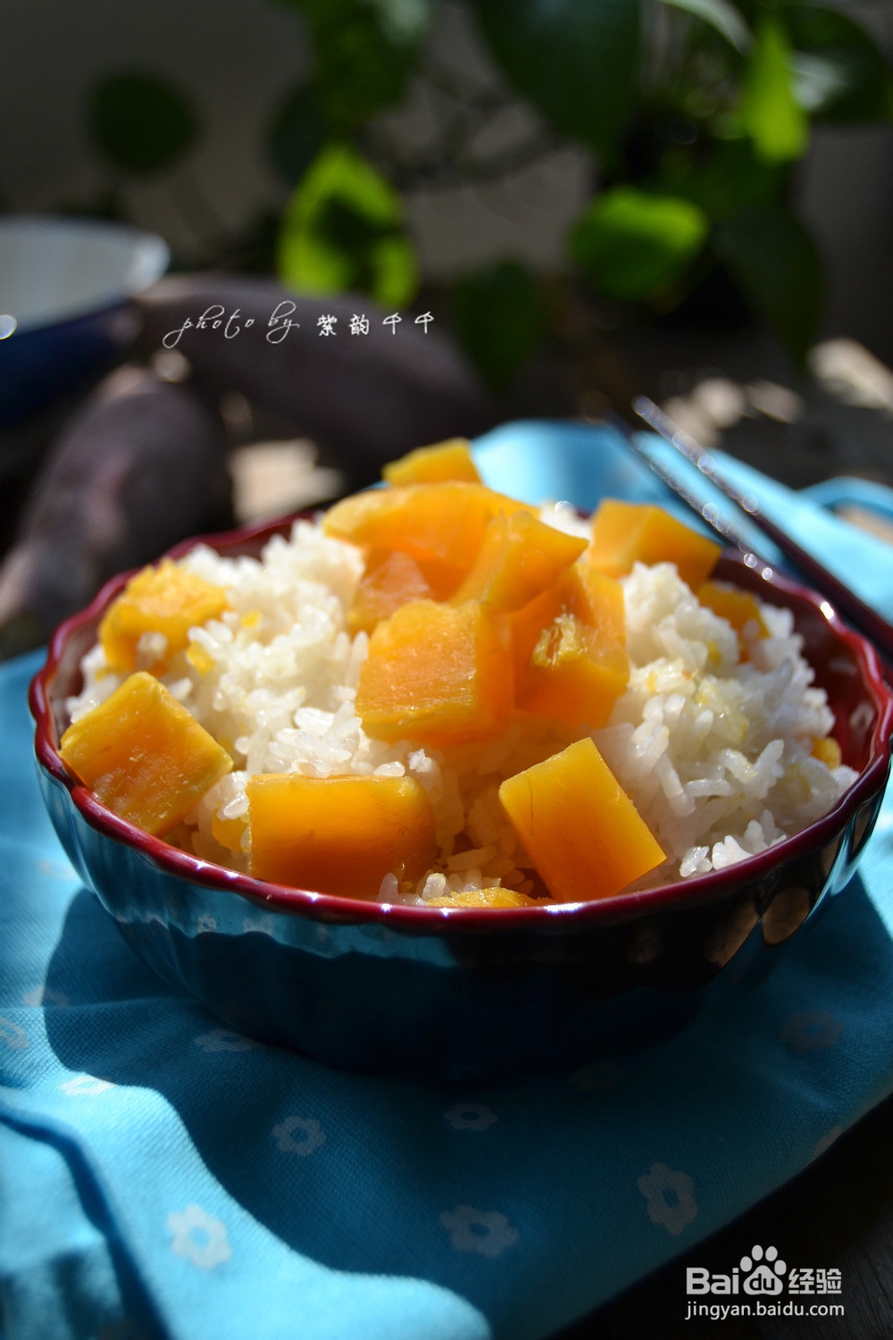 营养米饭——红薯大米饭