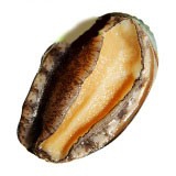 海鲜处理有妙招之七（鲍鱼）