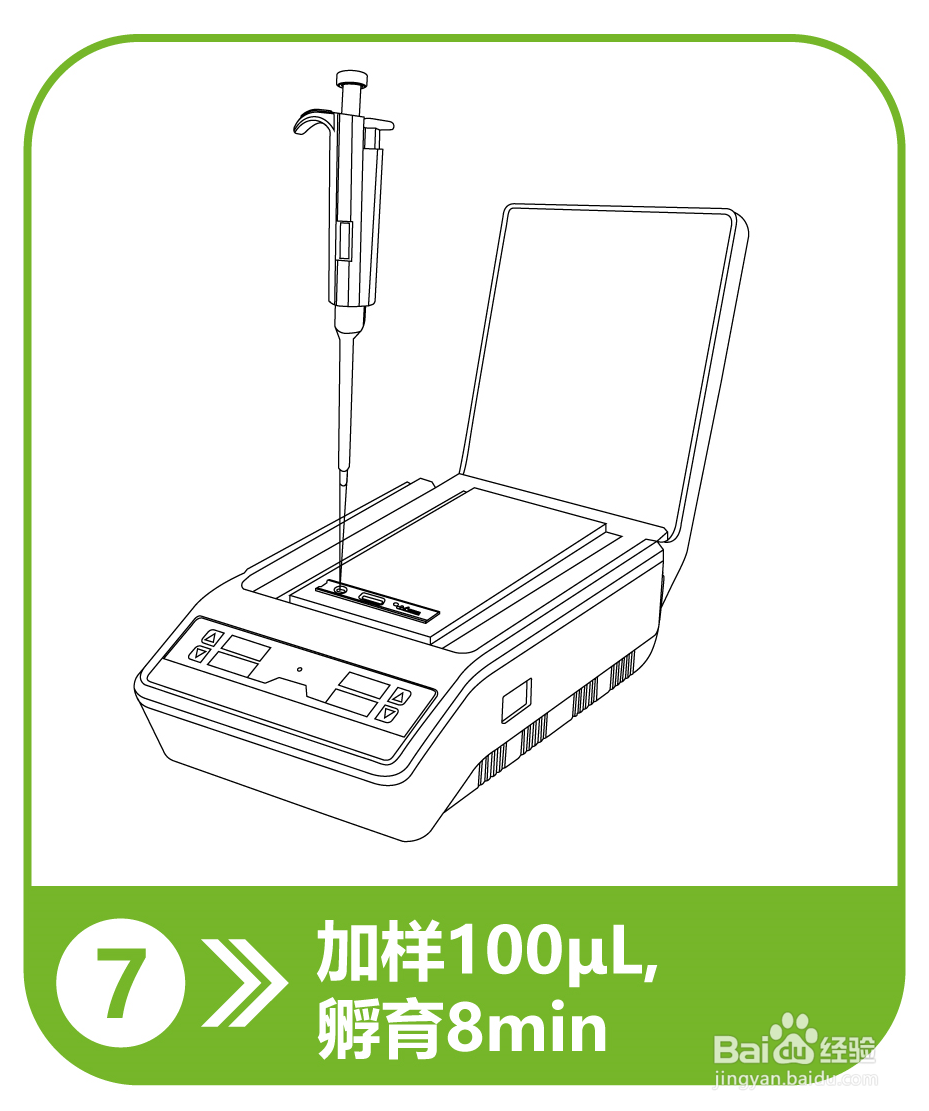 小麦面粉呕吐毒素检测操作流程