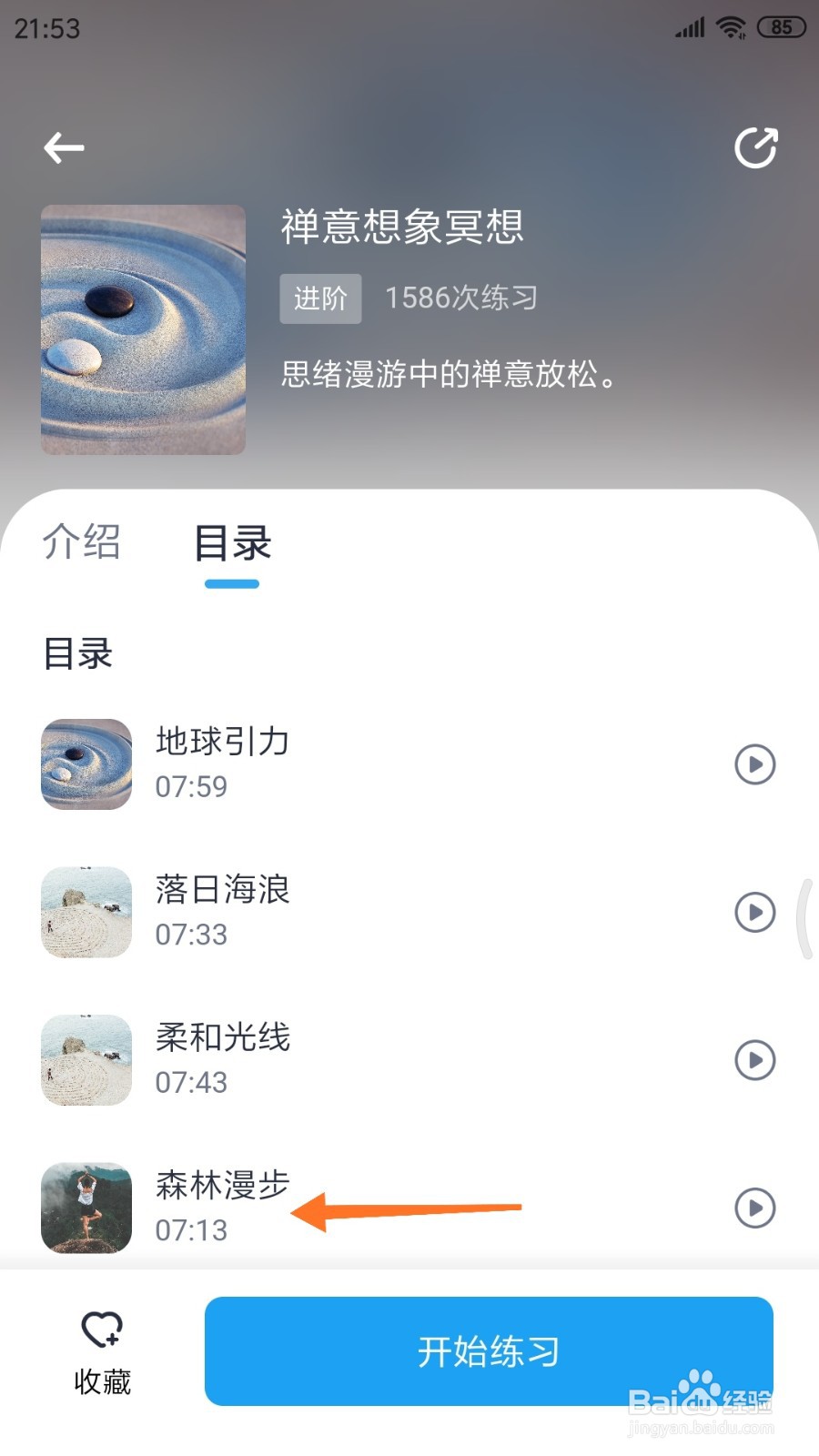 心理咨询中如何查看森林漫步