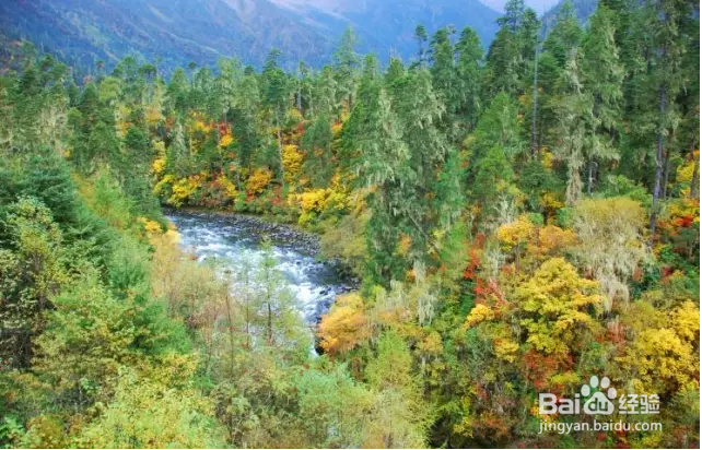 领略川藏线上的美丽风景