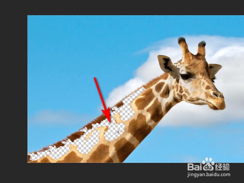 Photoshop中魔术橡皮擦怎么使用？