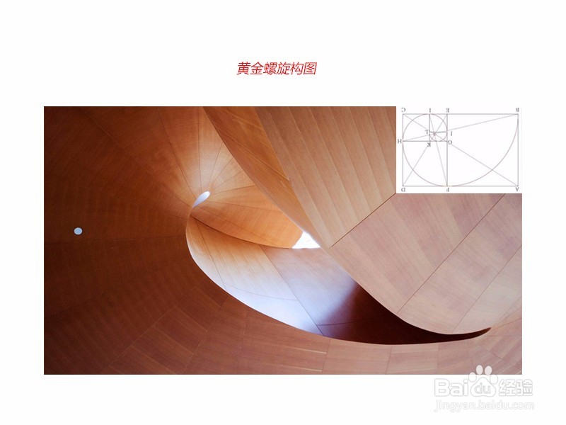 手机拍照怎么拍比较好看，要怎么构图呢？