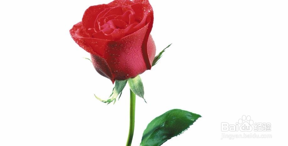 真心爱上一个人,你真的是真心吗?