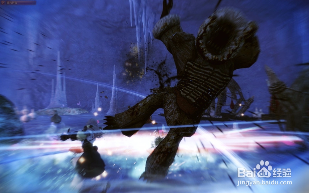 洛英艾丽莎为什么那么受欢迎