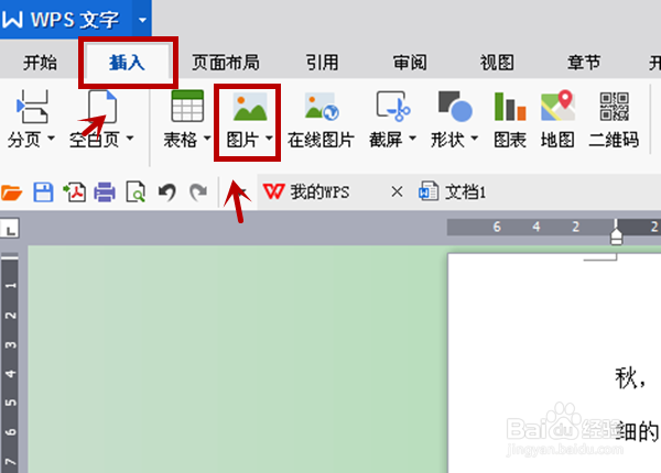 在W WPS文字 软件中如何插入图片？