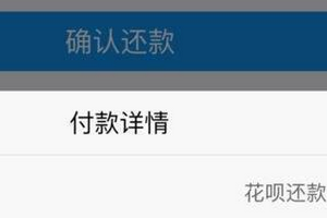 新人花呗怎么升级