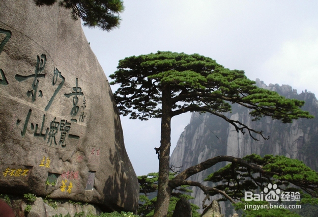 黄山好玩吗？黄山旅游最全面攻略