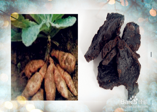 美容四物汤膳食食疗改善女性妇科月经并营养子宫