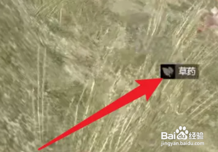 消逝的光芒草药怎么获得