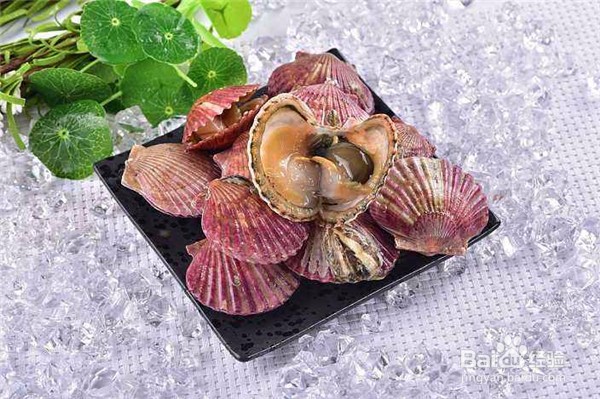 哪些人群不适宜经常食用海鲜