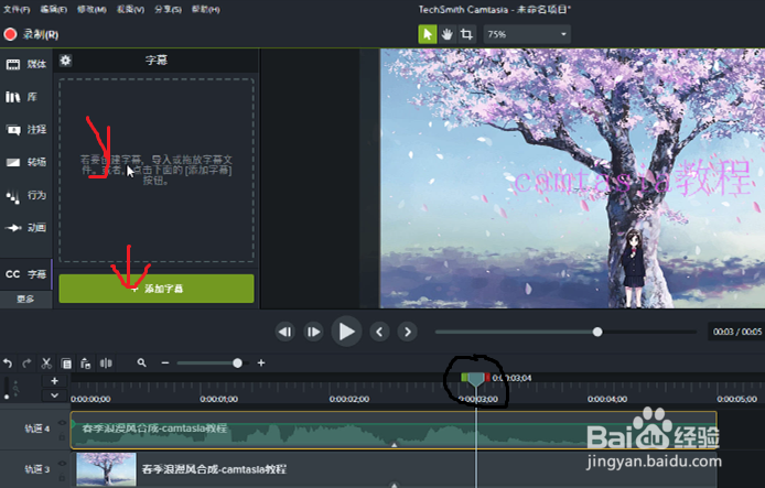 在camtasia2018中如何新建（创建）字幕？