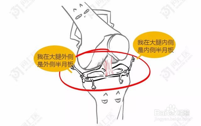 为什么会髌骨软化