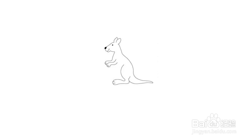 袋鼠简笔画教程