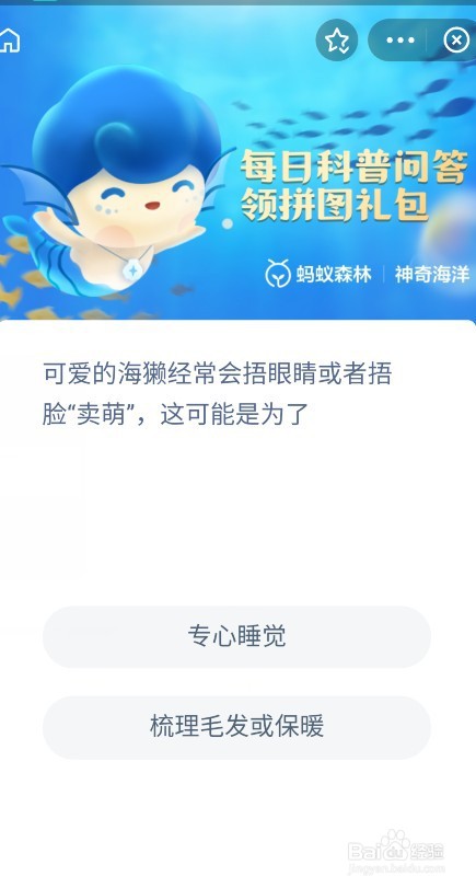 海獭捂眼睛或者捂脸卖萌是为了专心睡觉吗