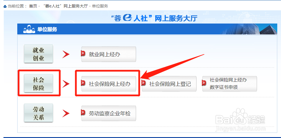 成都社保局怎么查缴费明细