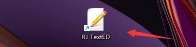 RJ TextED如何设置处理在CSV文件中的控制字符