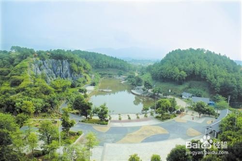 平南有什么好玩的景点