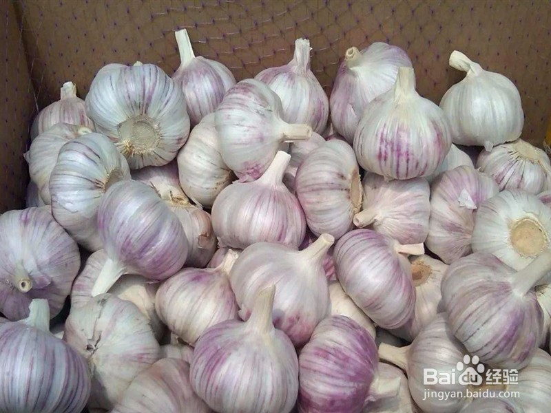 整袋大米不吃怎么保存