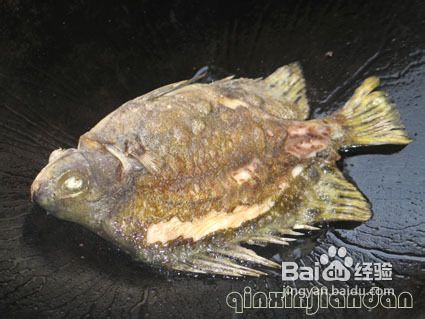 豆瓣酱焖金鼓鱼